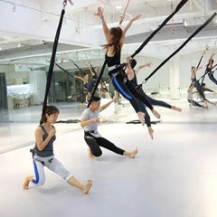Bungee Dance Training Kit – Anti-Gravity 4D Resistance System with Harness, CE Swivel & Daisy Chain, 50/70/90kg