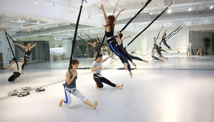 Bungee Dance Training Kit – Anti-Gravity 4D Resistance System with Harness, CE Swivel & Daisy Chain, 50/70/90kg