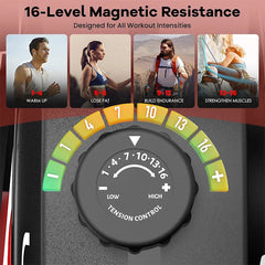 Recumbent Exercise Bike with Arm Exerciser – 16-Level Magnetic Resistance | Cipher Athletics