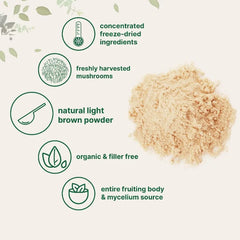 Organic Lion's Mane Mushroom Powder – 151 Servings, Full-Spectrum for Focus, Memory & Immune Support