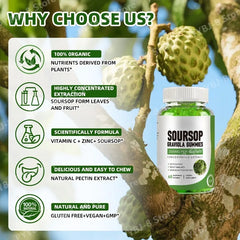 Soursop Gummies with Graviola Leaf & Fruit Extract – Immune System & Digestive Health Support
