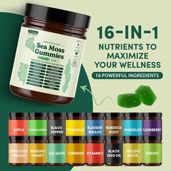 Sea Moss Gummies 16-in-1 – Ashwagandha, Black Seed Oil, Turmeric, Bladderwrack & Vitamin C D3 for Immune & Gut Health